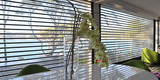 Volet_roulant_lames_transparentes_visiovol_small